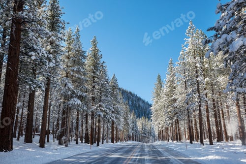 Preview: Winter road