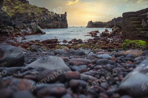 Preview: a bird is perched on top of a rock by the ocean