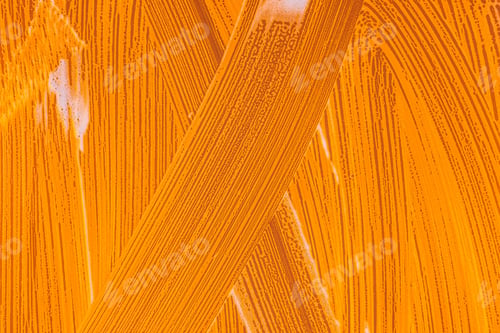 Preview: Drops- Liquid Foam. Fluid Aqua- Abstract Pattern Nature. Background- Cleansing Wash. Shampoo