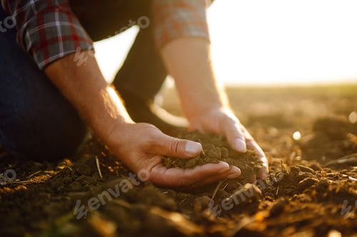 Preview: Male hands touching soil on the field. Expert hand of farmer checking soil health before growth.