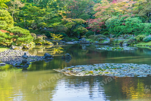 Preview: A View Of A Pond And Foliage At A Seattle Garend In Autumn.