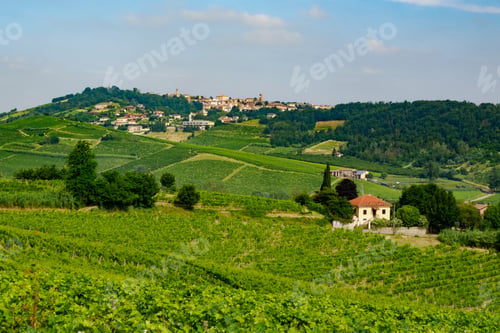 Preview: Vineyards in Monferrato near Maranzana, Alessandria province, Italy