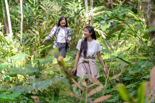 Preview: Two Young Asian Women Hiking Through Lush Green Forest Trail