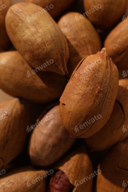 Preview: Close-up view of a pile of ripe pecans