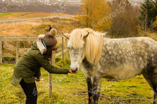 Preview: Woman Feeding a Horse in a Rural Setting
