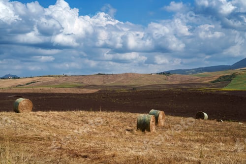 Preview: Rural landscape in Tuscany near San Quirico d Orcia