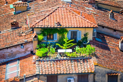 Preview: Beautiful view of ancient old buildings with red roofs background mountains in Lucca, Italy