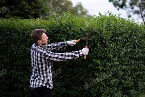 Preview: a gardener cut the hedge with the hedge shears outside