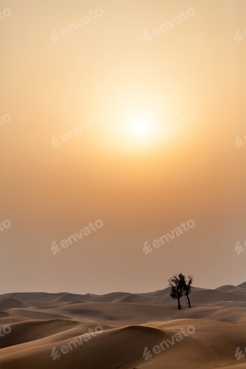 Preview: Sunset in the desert, vertical shot. Nature at its best state.