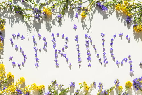 Preview: The Spring Label. Bright spring yellow and lilac flowers.