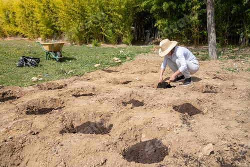 Preview: Lady in the gerden