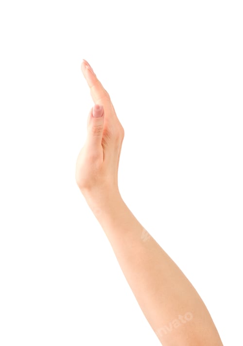 Preview: Female hand. Close up of beautiful female hand finger pointing or touching something isolated on whi