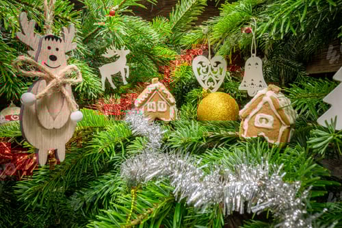 Preview: Closeup of green Christmas tree view form inside.