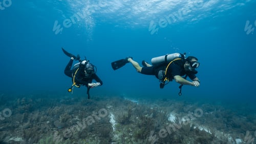 Preview: The loving couple dives among corals and fishes in the ocean