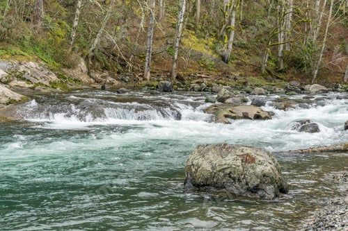 Preview: The Green River Flows Past Trees At Kanaskat-Palmer State Park In Washington State.