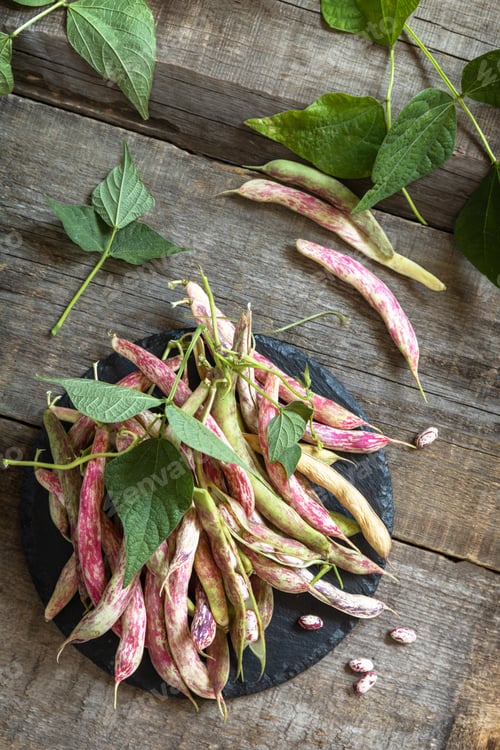 Preview: Beans of bean, brown bean (of dried beans) harvest on a rustic table.