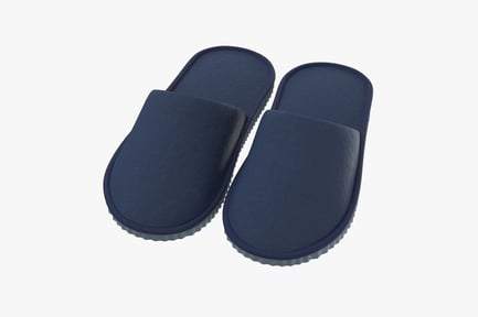 Preview: Comfort House Slippers