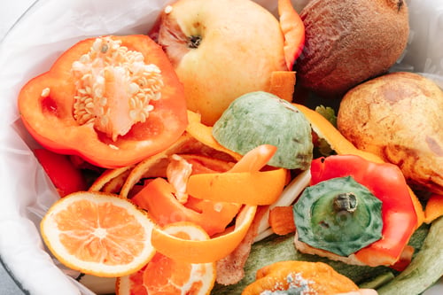 Preview: Organic leftover vegetables and fruits in a compost bin