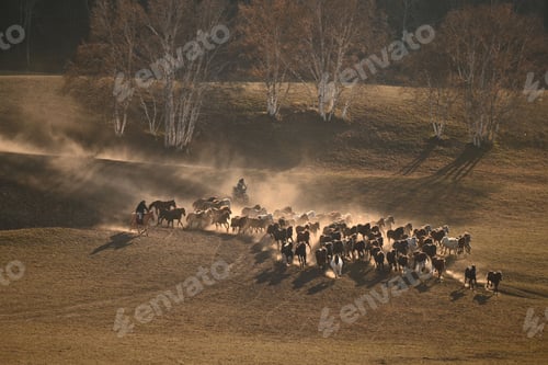 Preview: Galloping Herd in Golden Dust