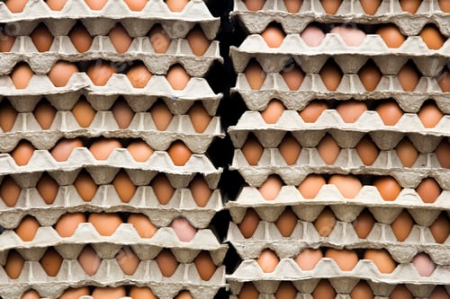 Preview: Fresh chicken eggs in a cardboard package