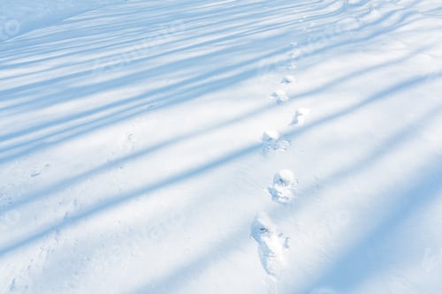 Preview: Human footprints in deep snow