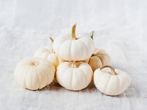 Preview: A serene pile of white pumpkins on a delicate fabric backdrop.
