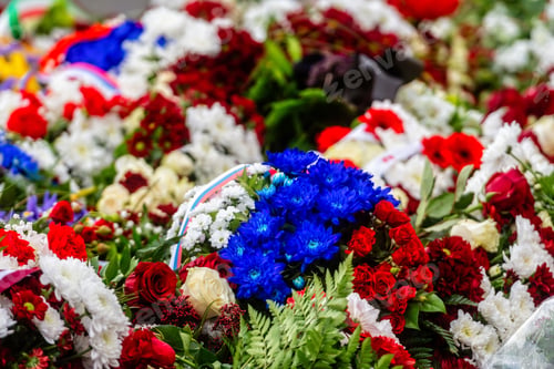 Preview: flower