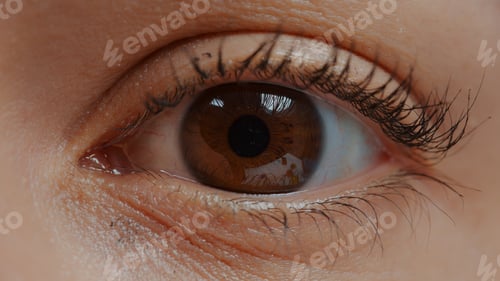 Preview: Woman with brown eye and eyelashes looking at camera