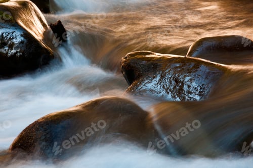 Preview: Barnes Creek, Olympic National Park, Washington, USA