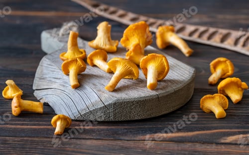 Preview: Fresh chanterelles