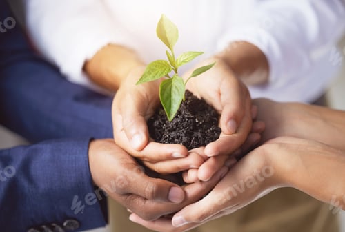 Preview: .Shot of a group of unrecognizable businesspeople holding a plant growing out of soil