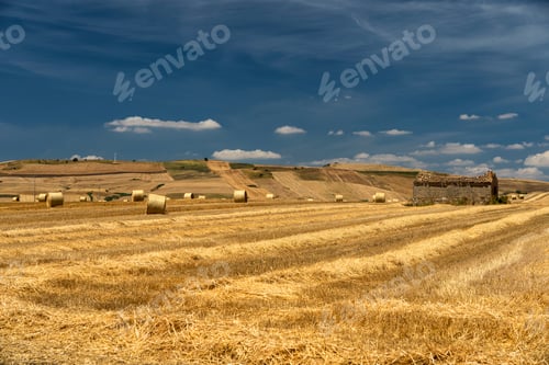 Preview: Rural landscape in Basilicata at summer