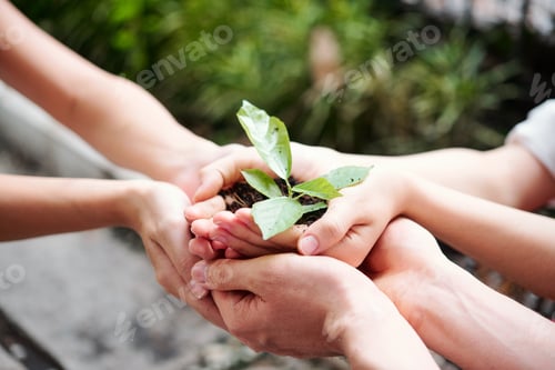 Preview: People growing plants