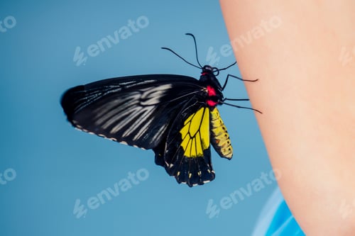 Preview: Art photo fashion model bright make-up.