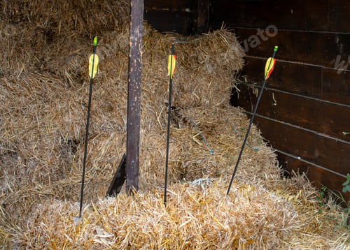 Preview: Arrows In A Straw Bail