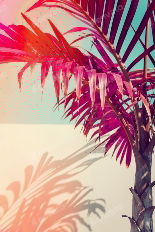 Preview: Purple palm leaves against turquoise sky and white wall