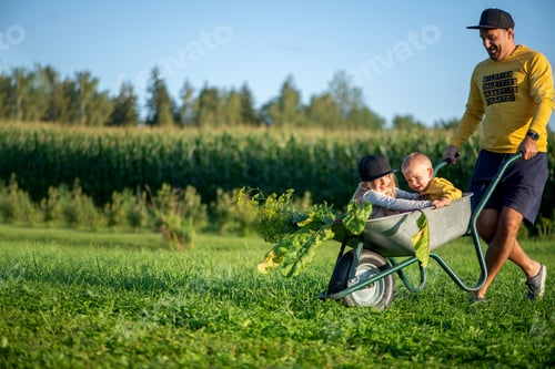 Preview: Happy father and his children playing with a wheelbarrow on a sunny autumn day