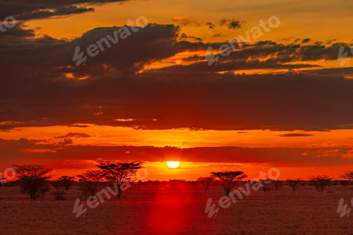 Preview: Kenya East Africa Landscapes Kalokol Lodwar Town Turkana Sunset Sunrise Highway Road Field Travels