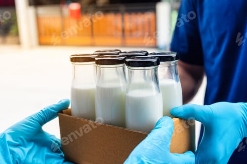 Preview: Smart delivery food service man handing box of milk to recipient with woman customer receiving