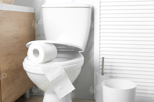 Preview: New paper roll on toilet seat in bathroom