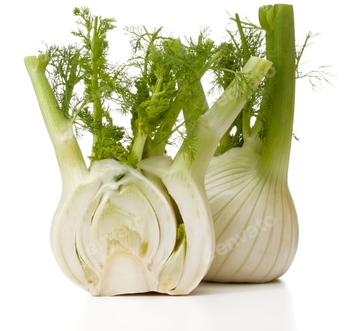 Preview: Fresh fennel bulb isolated on white background close up