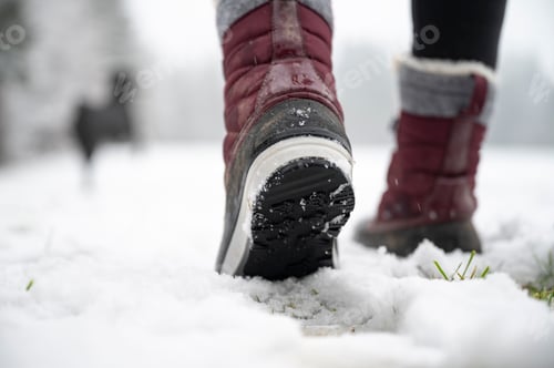 Preview: Winter steps in the snow
