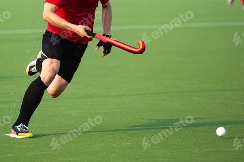 Preview: Field hockey player on artificial grass play field.