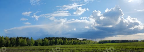 Preview: View of green plowed field in spring cloudy day and rain falling on the horizon. Rural landscape.