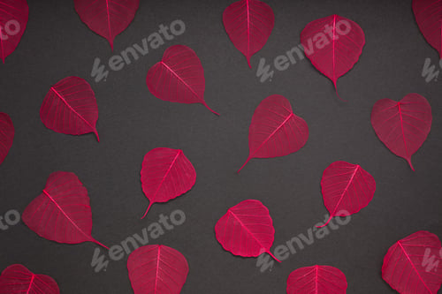 Preview: Red leaves pattern black paper background