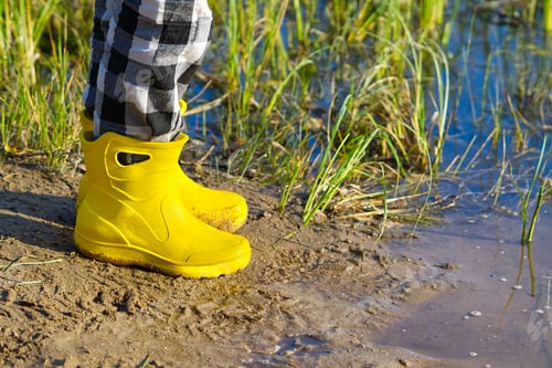 Preview: Person wearing bright yellow rubber boots standing in shallow water near a sandy beach shore area