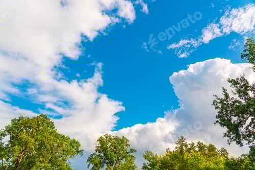 Preview: Beautiful fluffy clouds above the treetops