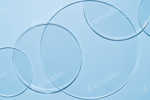 Preview: Empty Petri dishes on a blue background. Bright sunlight. Deep shadows. Contrast. Laboratory