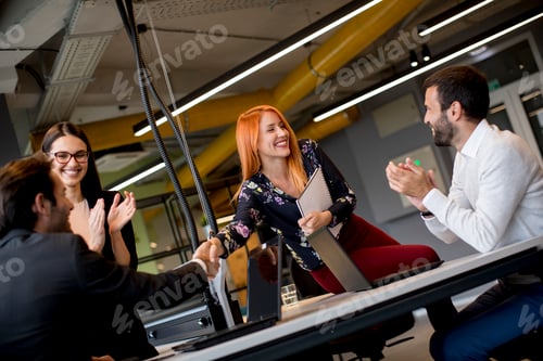 Preview: Business people shaking hands in the office