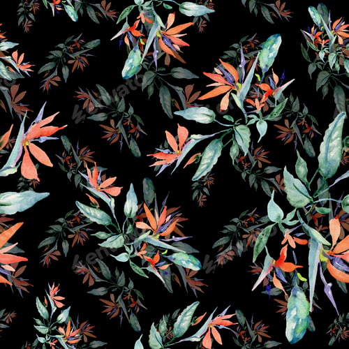 Preview: Bouquets floral botanical flower. Wild spring leaf isolated. Watercolor background illustration set.